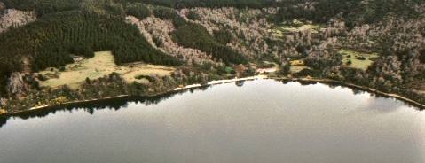 Ribera sur, Hoster�a Lanalhue